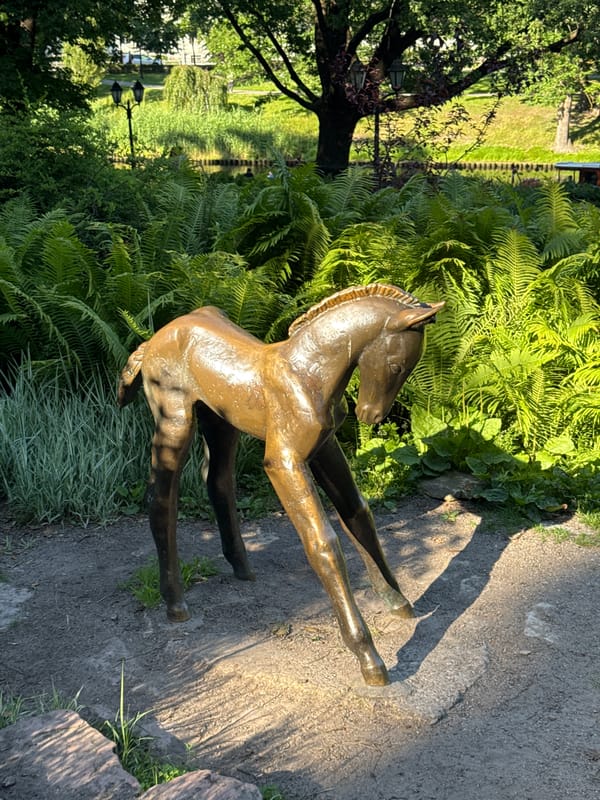 Summer afternoon across Riga's parks, sculptures, and street scenes