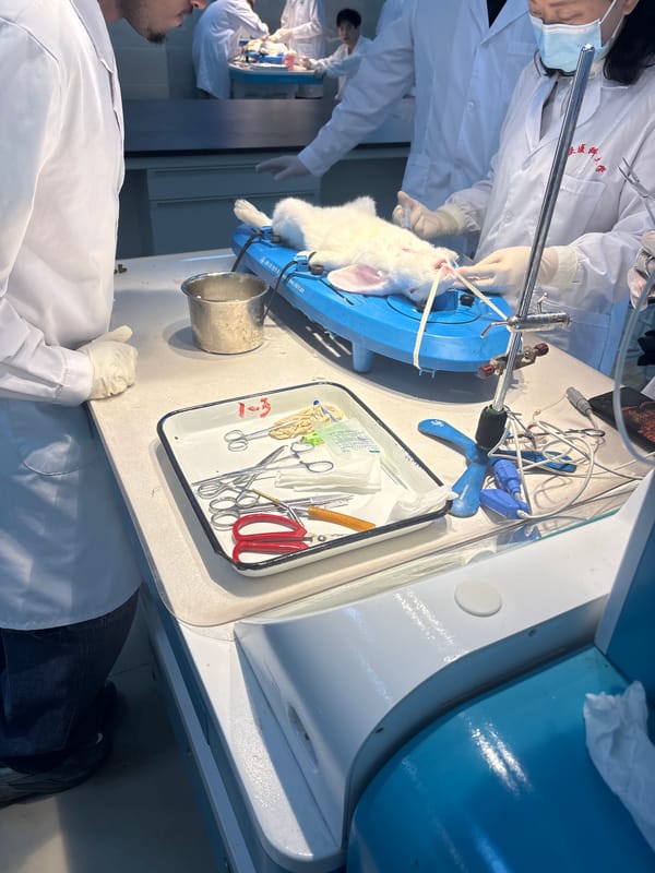 Research activities documented at Chongqing High-tech Zone laboratory facility