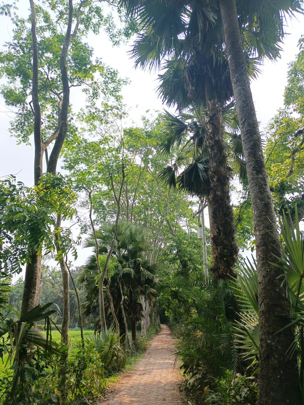 Rural village scenes documented in Muladi, Bangladesh