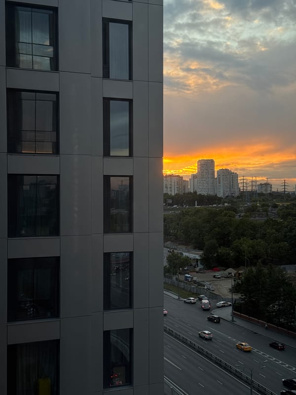Dinner out: oysters, duck confit, and a sunset city view