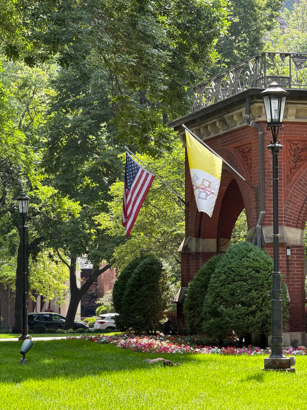 A summer afternoon stroll through Chicago's North Side
