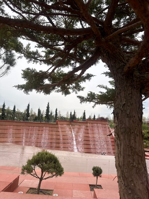 Afternoon park scenes documented in Krasnodar, Russia