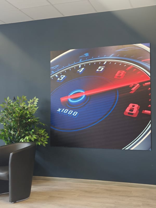 Large framed artwork spotted in Yambol office space