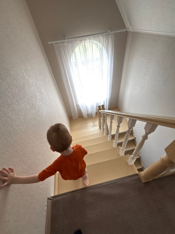 Domestic moments captured in Ферма family home during morning hours