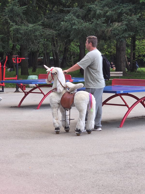 Casual park moments captured across Sofia during afternoon hours