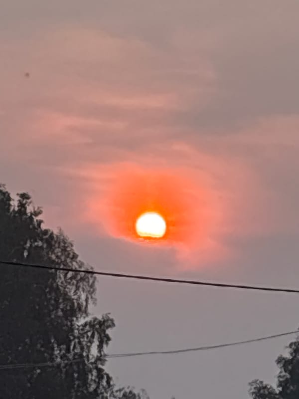 Hazy orange sunset over Dubrovino, trees in silhouette