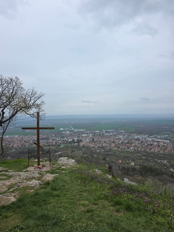 Scenic overlook visit with dog documented by witness