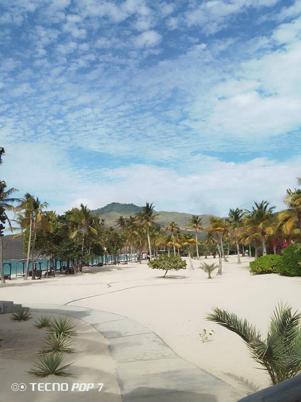 Beach scenes documented in Pedro González, Venezuela