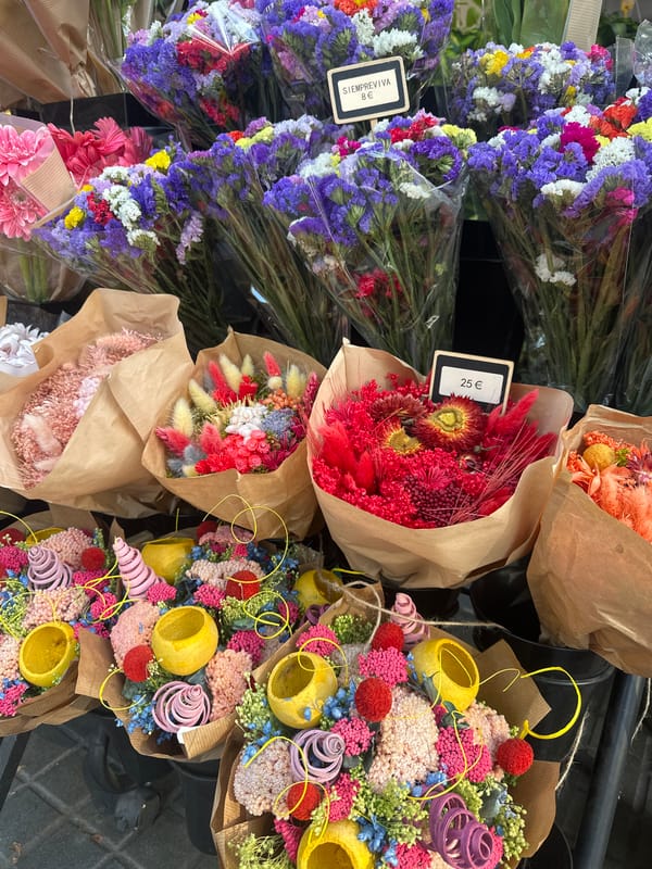 Browsing a colorful Barcelona flower stall, June afternoon