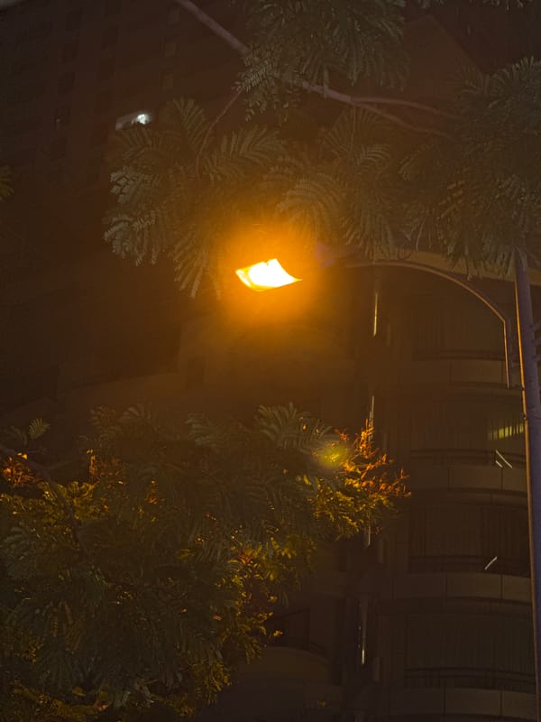 Nha Trang's beachfront strip alive on a July night