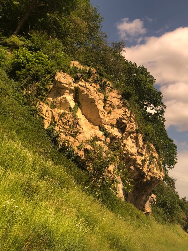 Visitors explore limestone quarry nature site in Bolsover