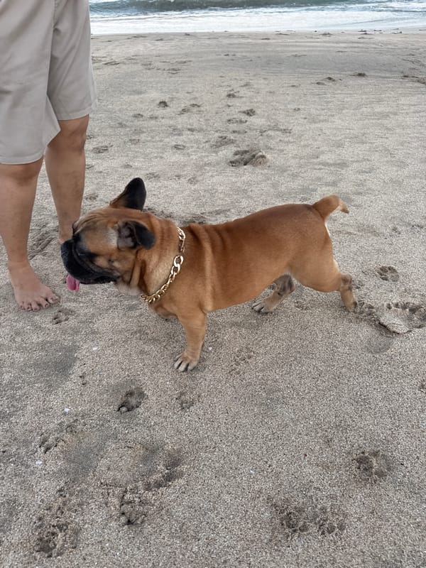Evening beach life captured at Kuta Indonesia April 2026