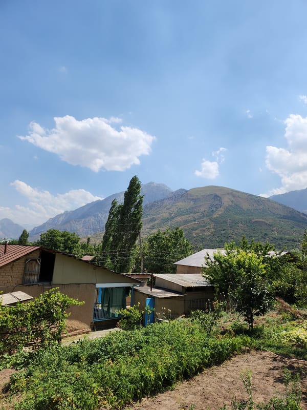 Lazy summer morning at a Yangikurgan backyard, pool and all