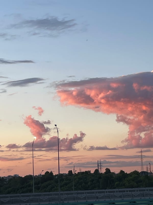 Sunset skies and summer flowers in Perm, Russia