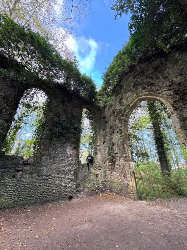 Visitor documents overgrown ancient ruins in Great Yarmouth countryside