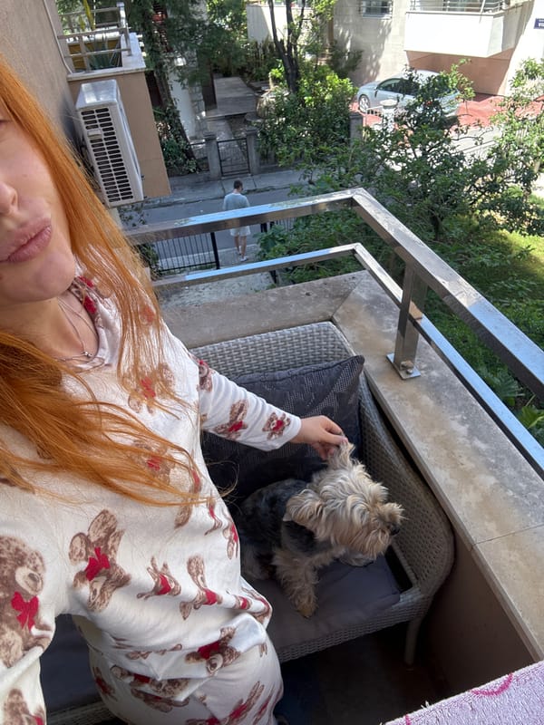 Morning balcony moments with Yorkie documented in Budva, Montenegro