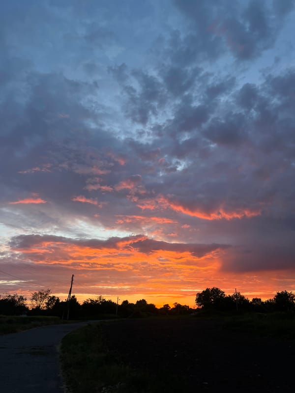 Sunset skies, wildflowers, and a sleeping cat in Ustyvytsia