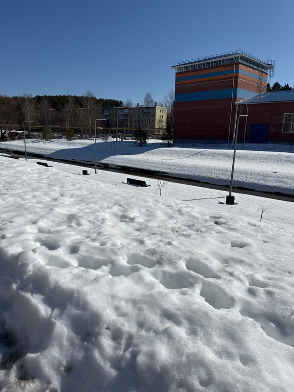 Dog walker with corgi spotted on snowy morning in Votkinsk