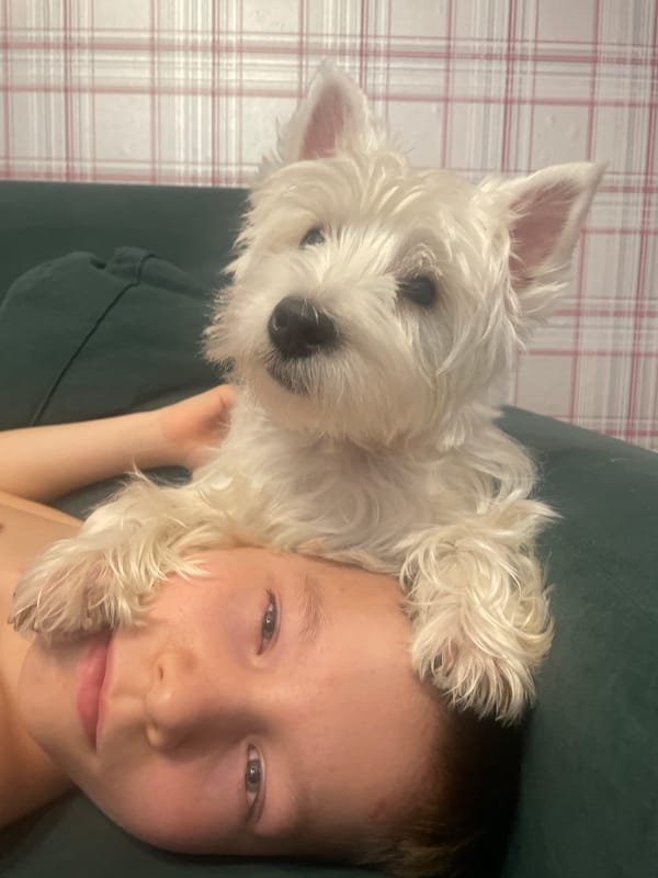 Child and terrier puppy share quiet moment in Samara home