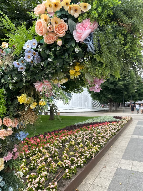 Ornate floral display spotted in Pleven park