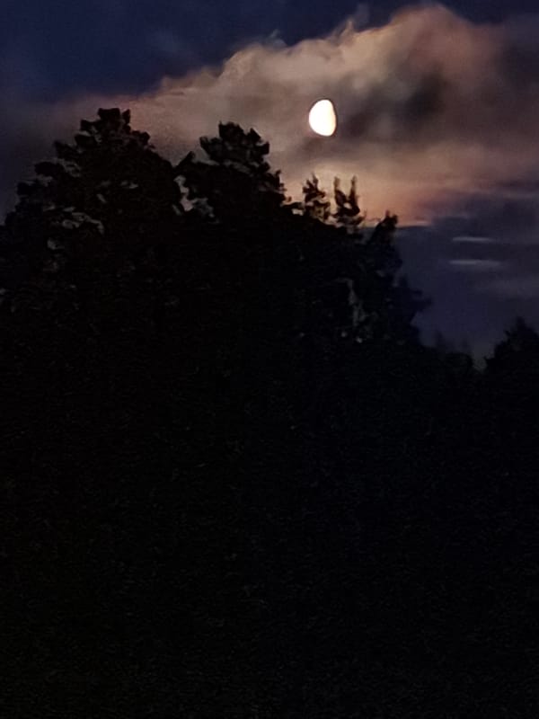Moonlit night sky and noctilucent clouds over rural Estonia