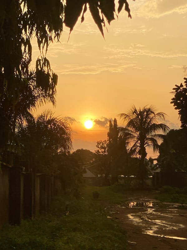Sunset observed in Maigizo, Nigeria creates orange sky silhouettes