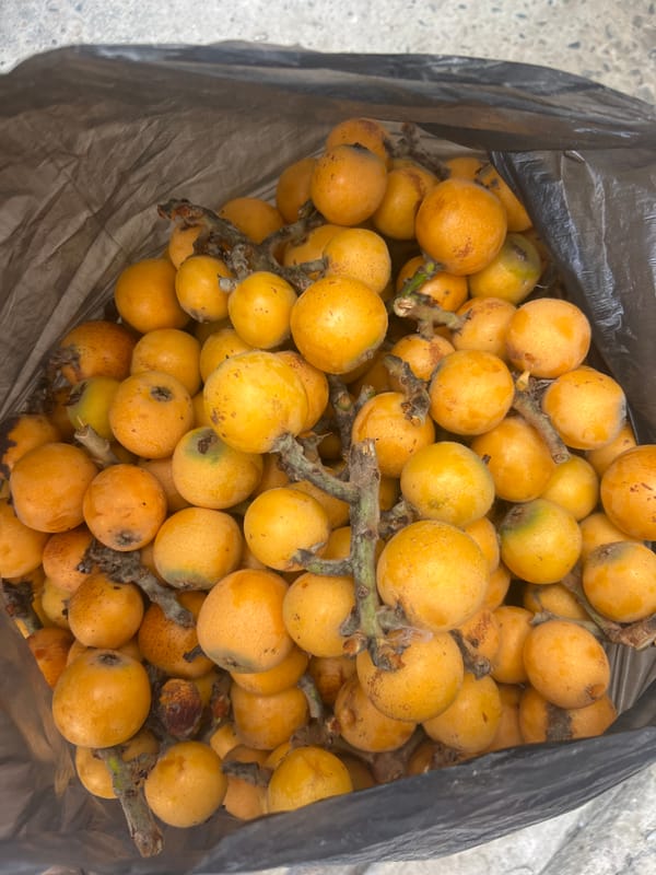 Mixed digital content includes fruit photo, multilingual social posts