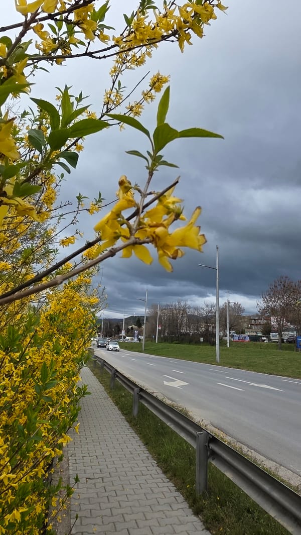 Spring afternoon street scenes documented across Blagoevgrad, Bulgaria
