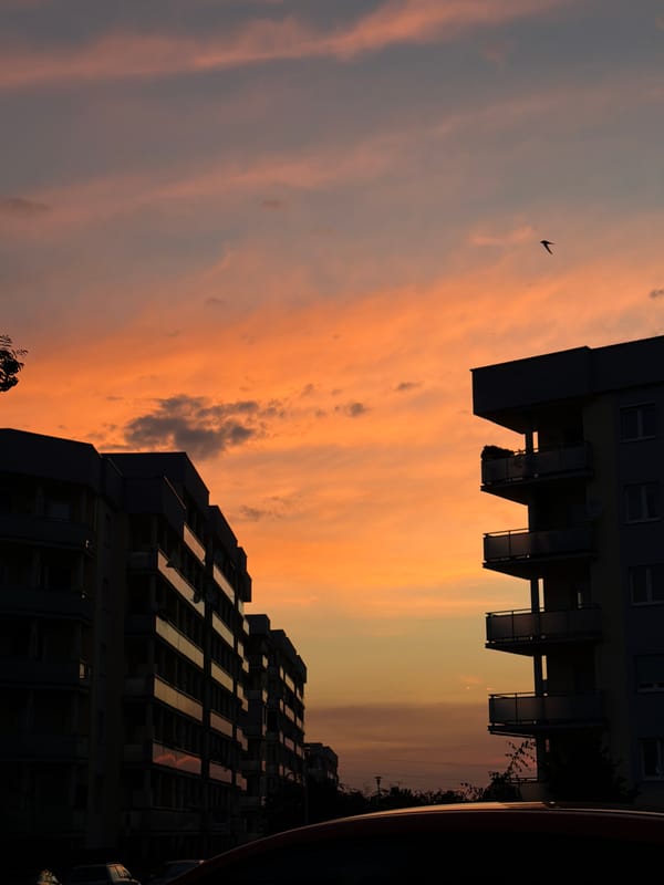 Sunset over Gorzów apartment blocks, pink cap along for the ride