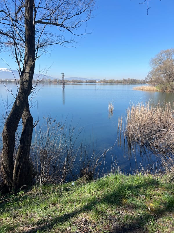 Clear skies reflect in Sofia waterway on Monday morning