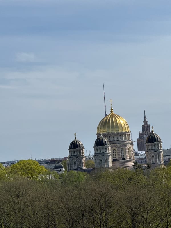 Witness documents Riga cityscape from elevated viewpoint featuring Orthodox cathedral