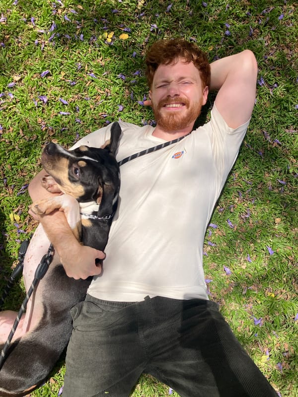 People and pets share quiet moments across Tel Aviv