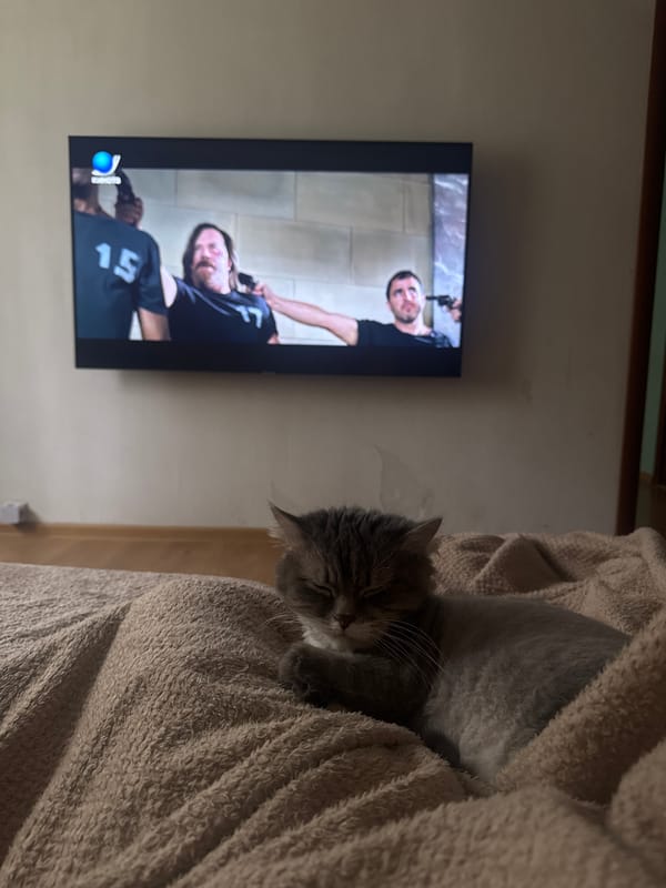 Moscow resident captures peaceful morning moments with gray cat