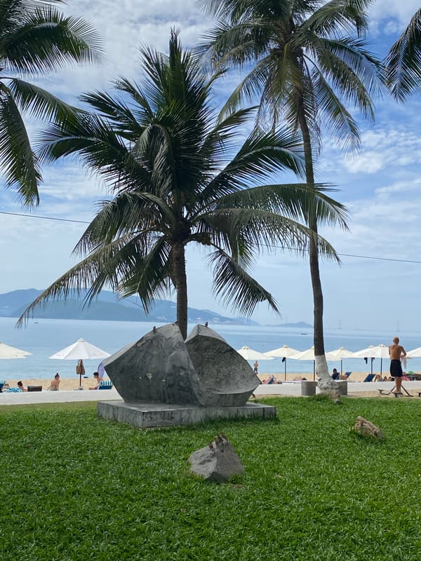 Nha Trang beachfront promenade: palms, public fitness gear, and upkeep