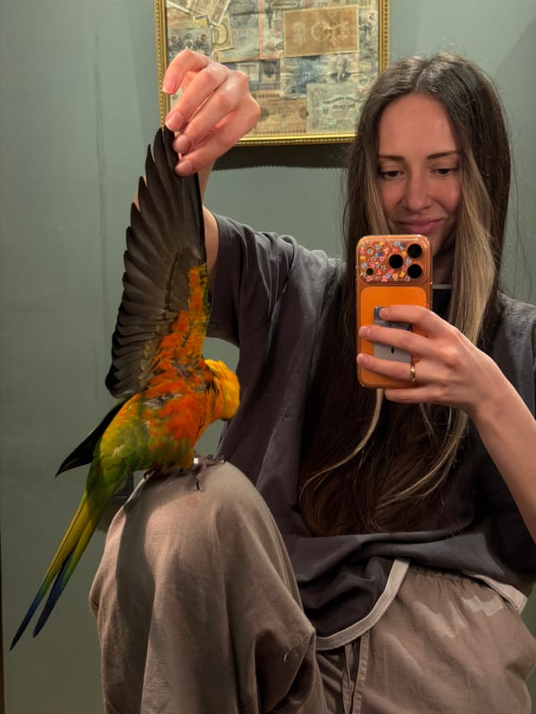 Family moments with pet parrot captured in Khimki home