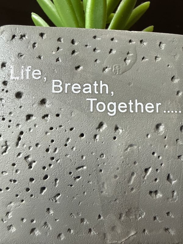 Inscribed memorial surface documented in Cherven Bryag, Bulgaria