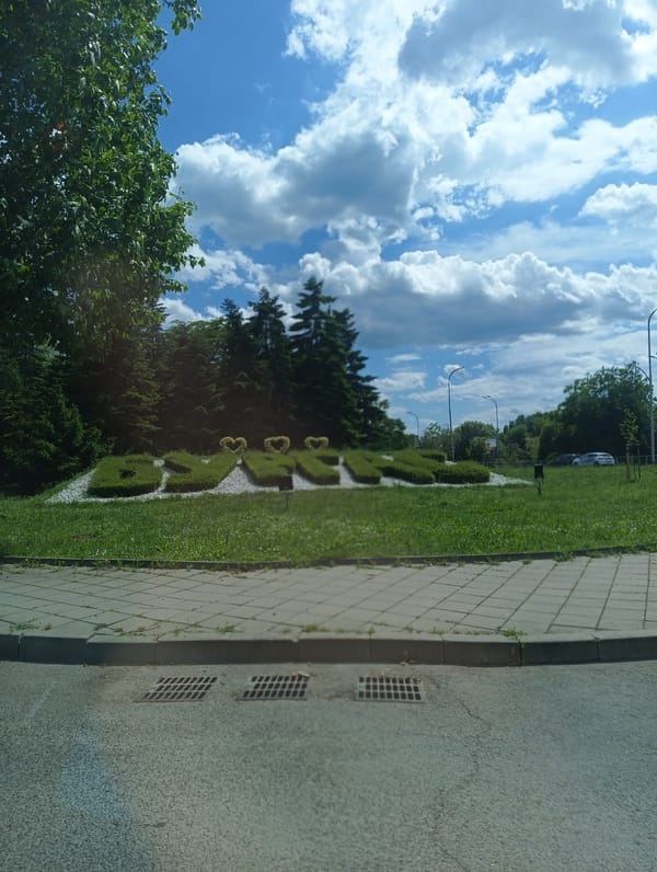 Witnesses document Burgas street scenes and city topiary display
