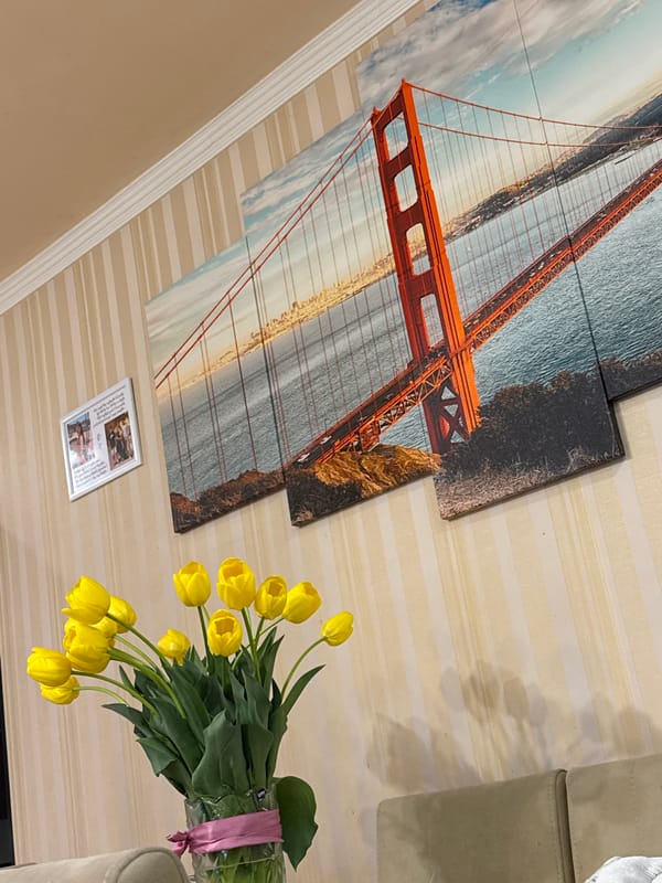 Yerevan resident documents pastries, street cat, and urban scenes