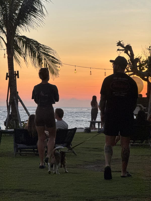 Sunset gathering with dogs documented in coastal Mengwi, Indonesia