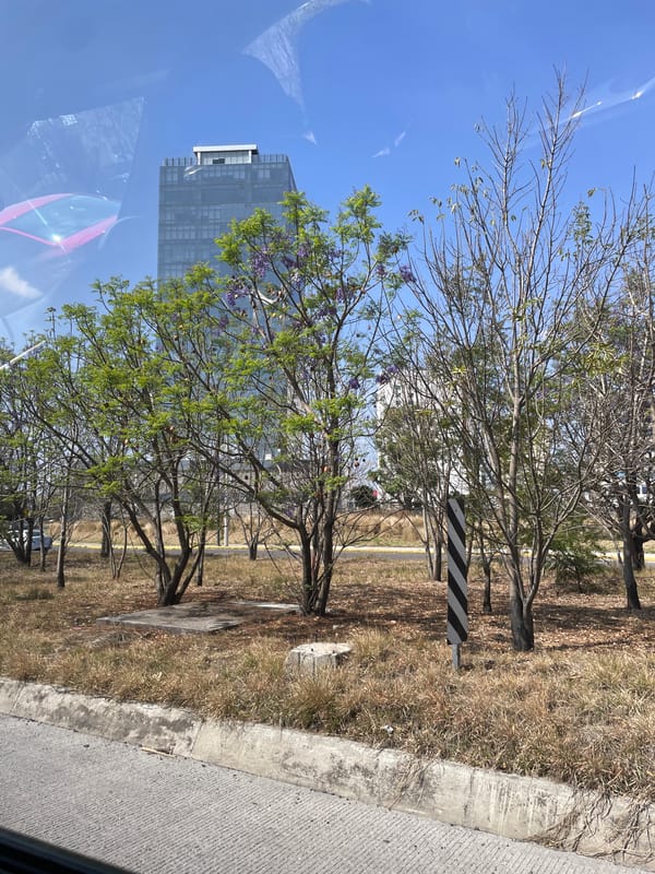 Vehicle passenger documents street views in San Bernardino Tlaxcalancingo