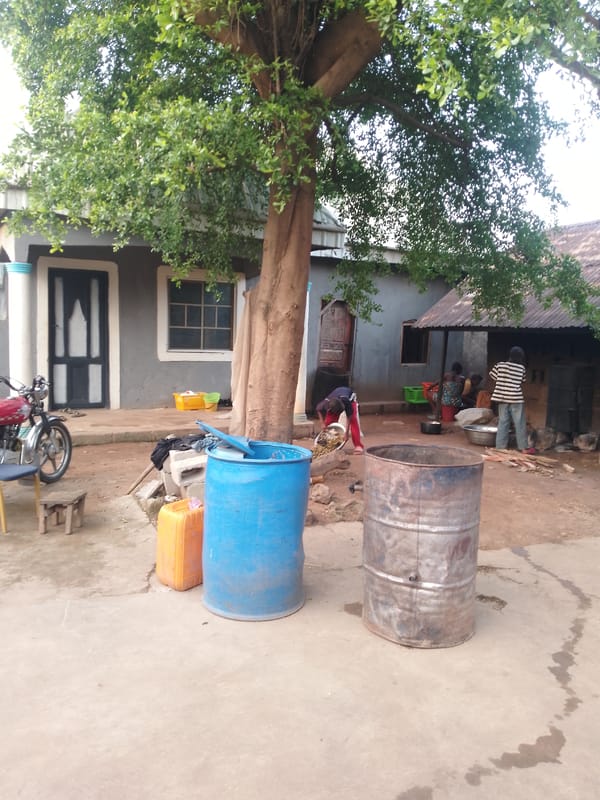 Rural village morning: animals, roads, and daily routines