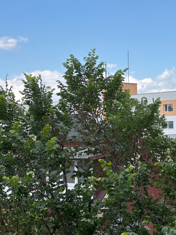 Sofia resident documents ordinary afternoon moments across city