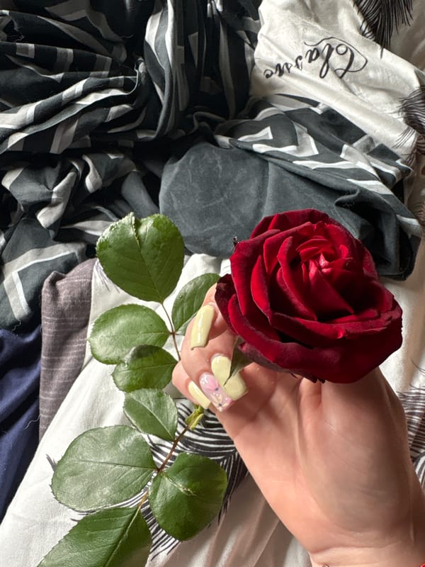 Morning domestic scenes: rose, fruit bowl, white dog documented