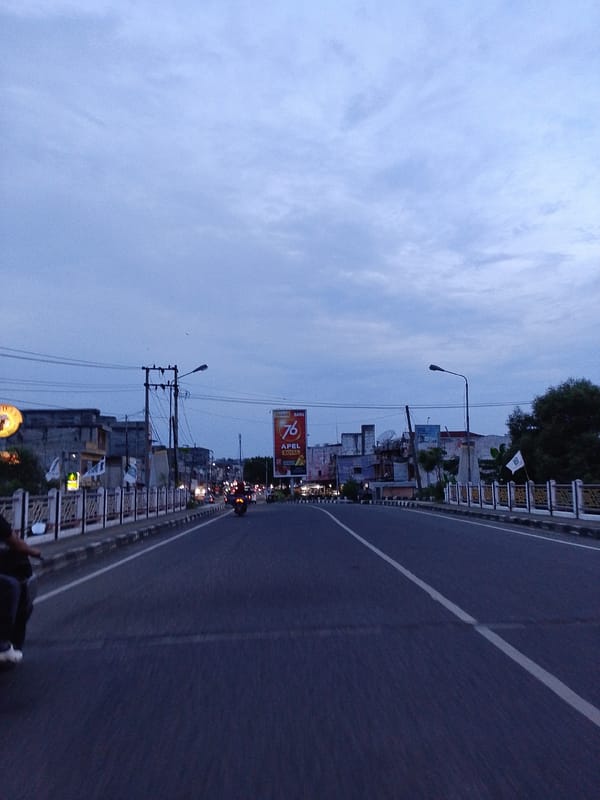 Street cat shelters under car in overcast Lhokseumawe