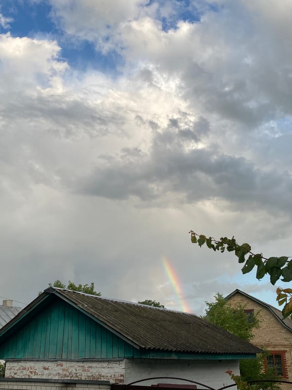 Quiet afternoon scenes: country roads, skies, and wildlife