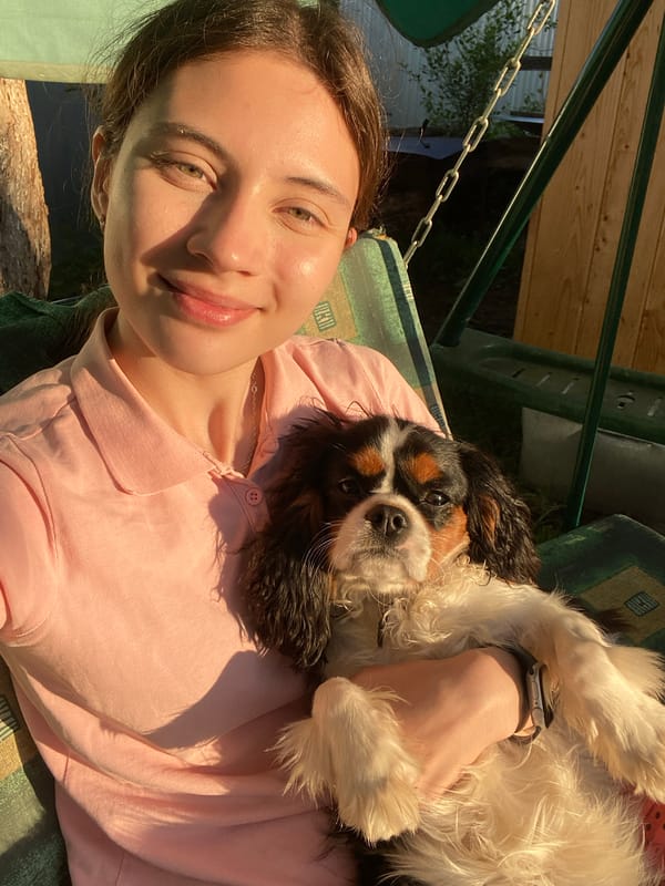 Backyard swing session with a Cavalier King Charles Spaniel, Votkinsk