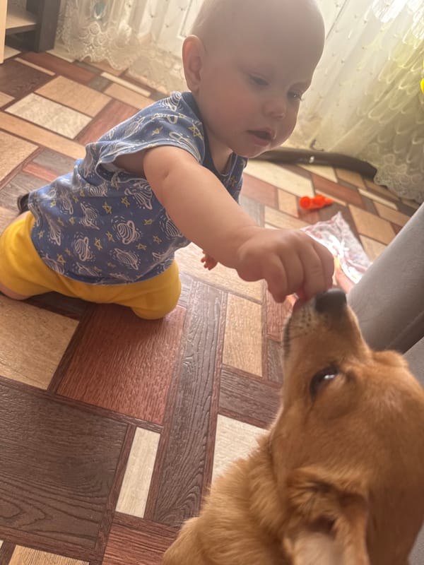 Baby plays with small dog indoors in Chaikovsky