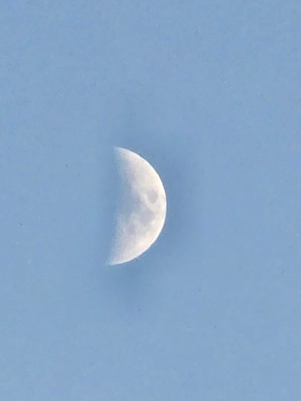 Half-moon with crater detail against a pale blue sky