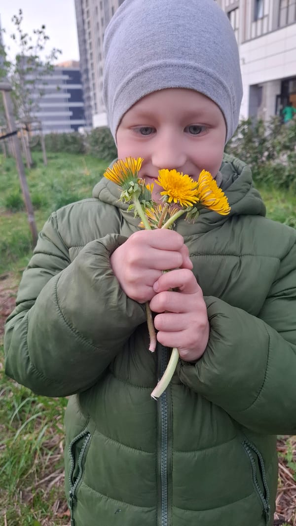 Child with dandelions, tabby cat spotted across Saint Petersburg