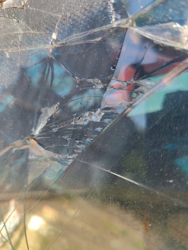 Rural Ukrainian homestead morning, with animals, chores, and broken glass